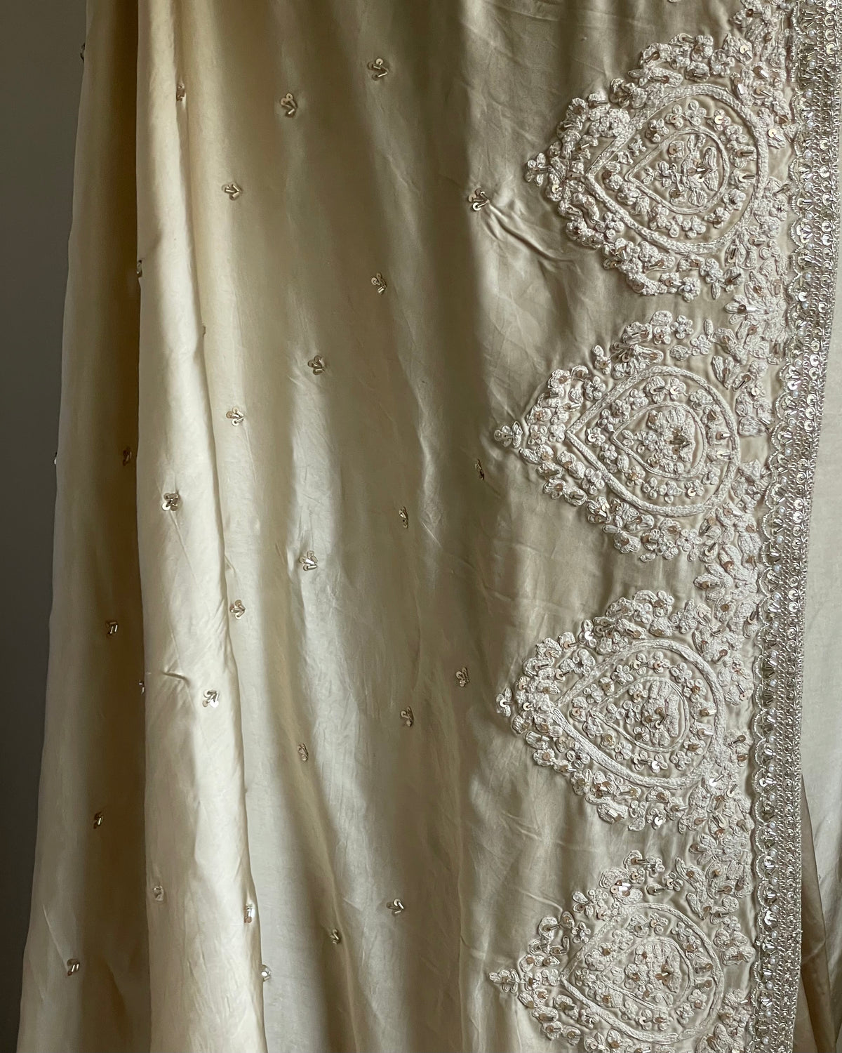 Soft Beige Silk Saree with Silver Zardozi